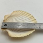 Foto 8 di 8