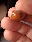Peltier Hybrid Orions Belt Nlr 0.648" Marble A Touch Of Aventurine  — photo 6