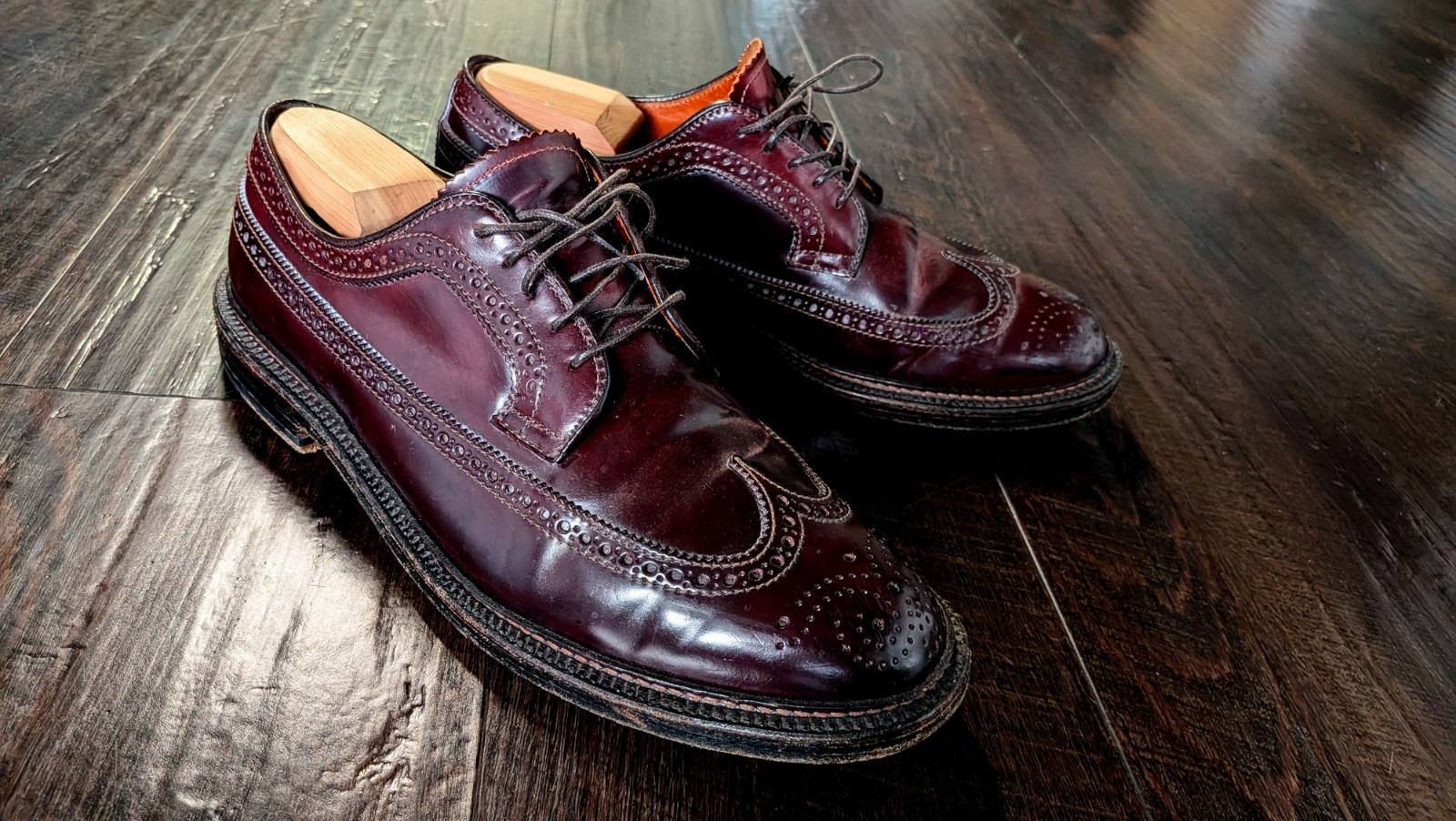 Alden 975 Color 8 Shell Cordovan Long Wing Blucher