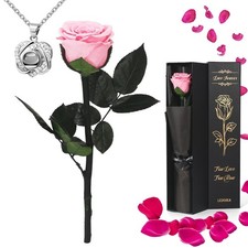 Preserved Real Rose Forever Flowers with Heart I Love You Necklace Unique Gif...