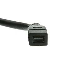 DisplayPort Male to Mini DisplayPort Female 6 inch  30H1-62206
