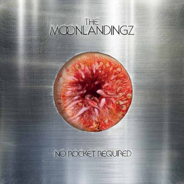 Vinile - Moonlandingz (The) - No Rocket Required - Transgressive Records -D- Ne-image