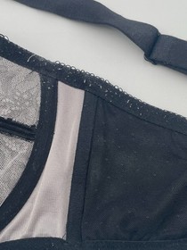 Lise Charmel Women's Black Sheer Embroidered Full-Figure Lace Bra Size 34G