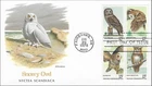 Owls Snowy Owl Great Horned Owl Barred Owl Saw-Whet Owl USA Cachet FDC BLK 1978