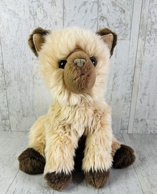 Douglas Cat Mitzy Himalayan Plush Tan Brown Kitty 4393 Cuddle Toy 14'' Blue Eyes