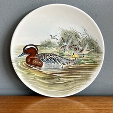 Poole Pottery Transfer Duck Plate John Gould Garganey 
