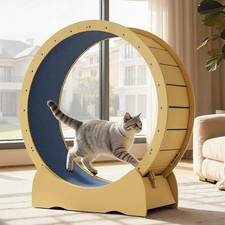 42'' Indoor Cat Running Wheel Detachable Carpeted Solid Wood Exercise
