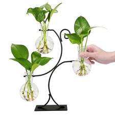 2025 New Desktop Plant Propagation Stations, Plant Terrarium with Metal Stand,
