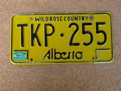 CANADA Nummernschild Alberta, original