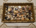 Mixed Assorted Button Lot BROWN & BEIGE Earth Tones Free Shipping — photo 7