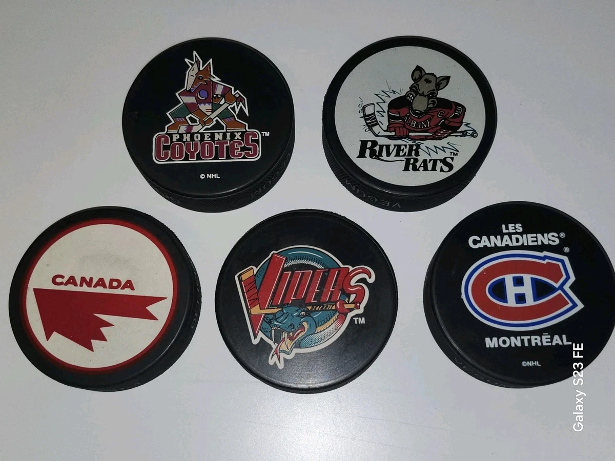 菲尼克斯郊狼队NHL 球迷冰球| eBay