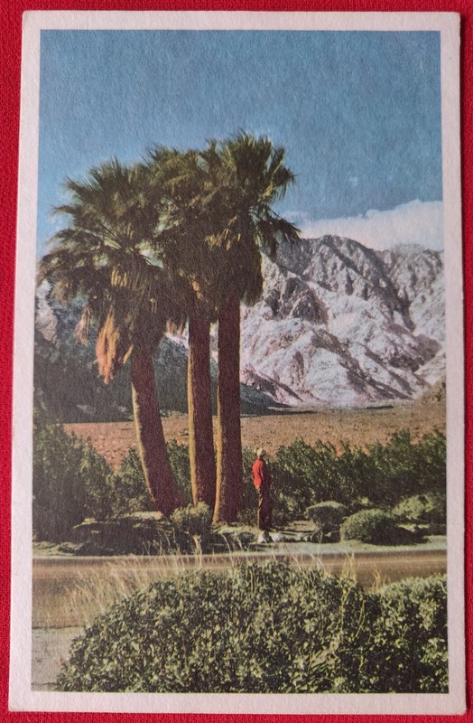 RARE 1 OFF Mt. San Jacinto from the road to Palm Springs-kept Pristine in Album