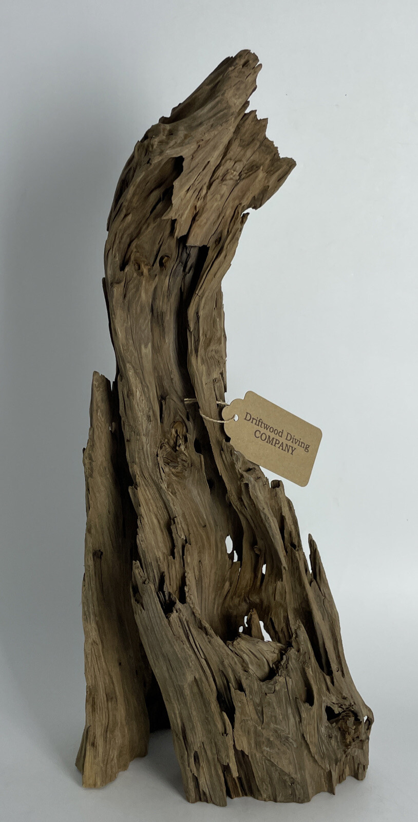 22” Cypress Driftwood Natural Aquarium Plant Art Taxidermy eBay