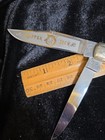 Bulldog Brand Solingen Germany Hand Forged Trapper Jack Knife, Trapper Shield — photo 3