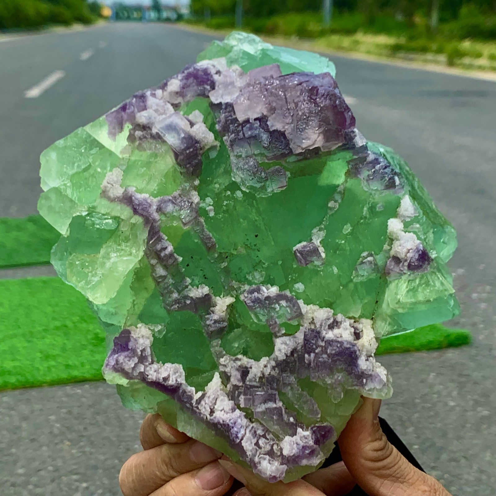 6.36LB Natural Transparent Purple Green Fluorite Crystal Specimen from China
