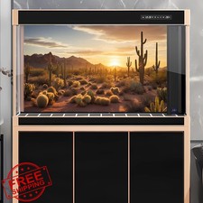 Sunset Desert Reptile Habitat Background 36x18in Saguaro