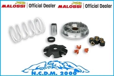 Malossi Multivar Variator Peugeot Ludix Blaster 50 2T LC (HL 2)