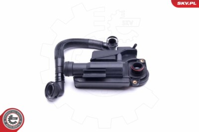 ESEN SKV 31SKV163 Reparatursatz, Kurbelgehäuseentlüftung für AUDI,VW