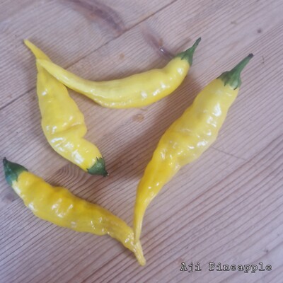 Chili Aji Pineapple 10 Samen
