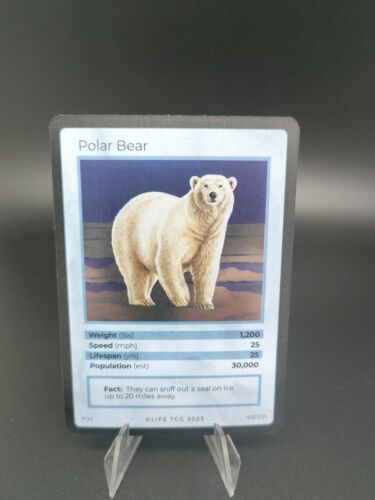 Polar Bear Holo Life Tcg 2023 - 45/100 - Bild 1 von 1