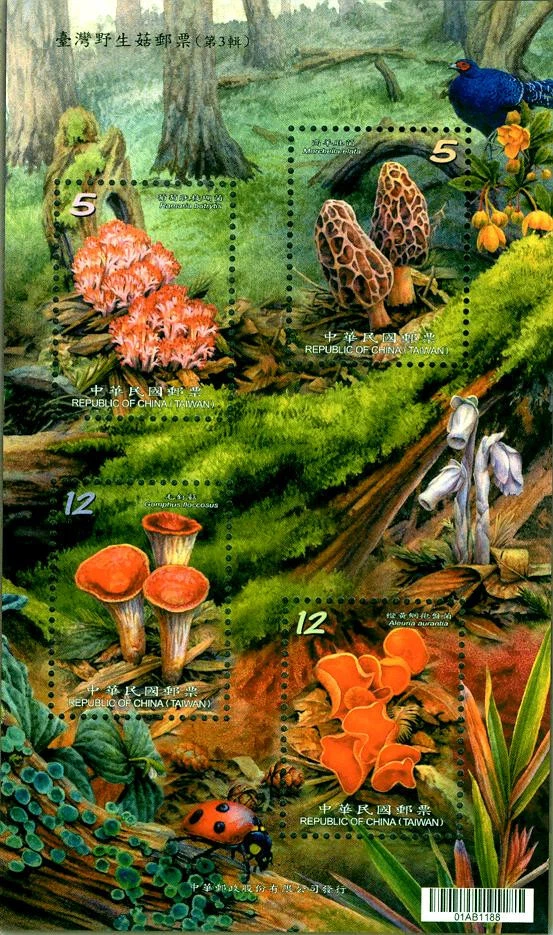 Taiwan - Wild Mushrooms of Taiwan (III) - Image 1 of 1
