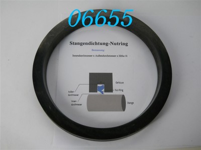 CFW NUTRING / STANGENDICHTUNG  N170-100  170 x 200 x 22  -DIN 6505-