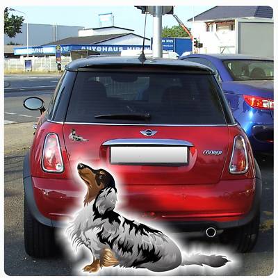  Autoaufkleber Dackel Teckel Auto Aufkleber Sticker Digitaldruck DA2021