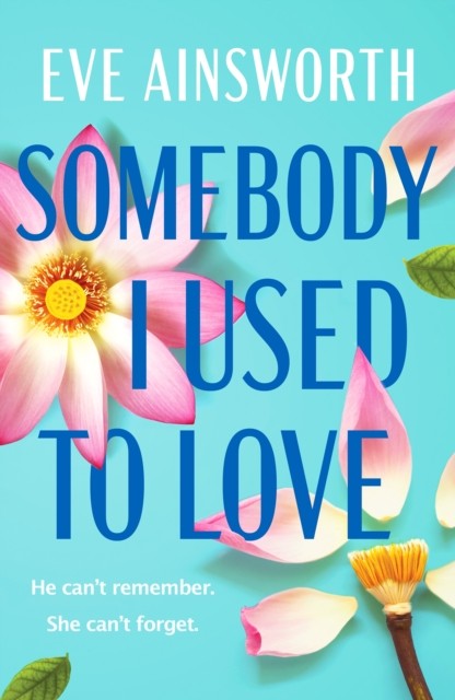Somebody I Used To Love