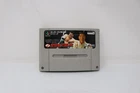 All Japan Zen Nippon Prowrestling SFC Nintendo Super Famicom Japan Region Locked
