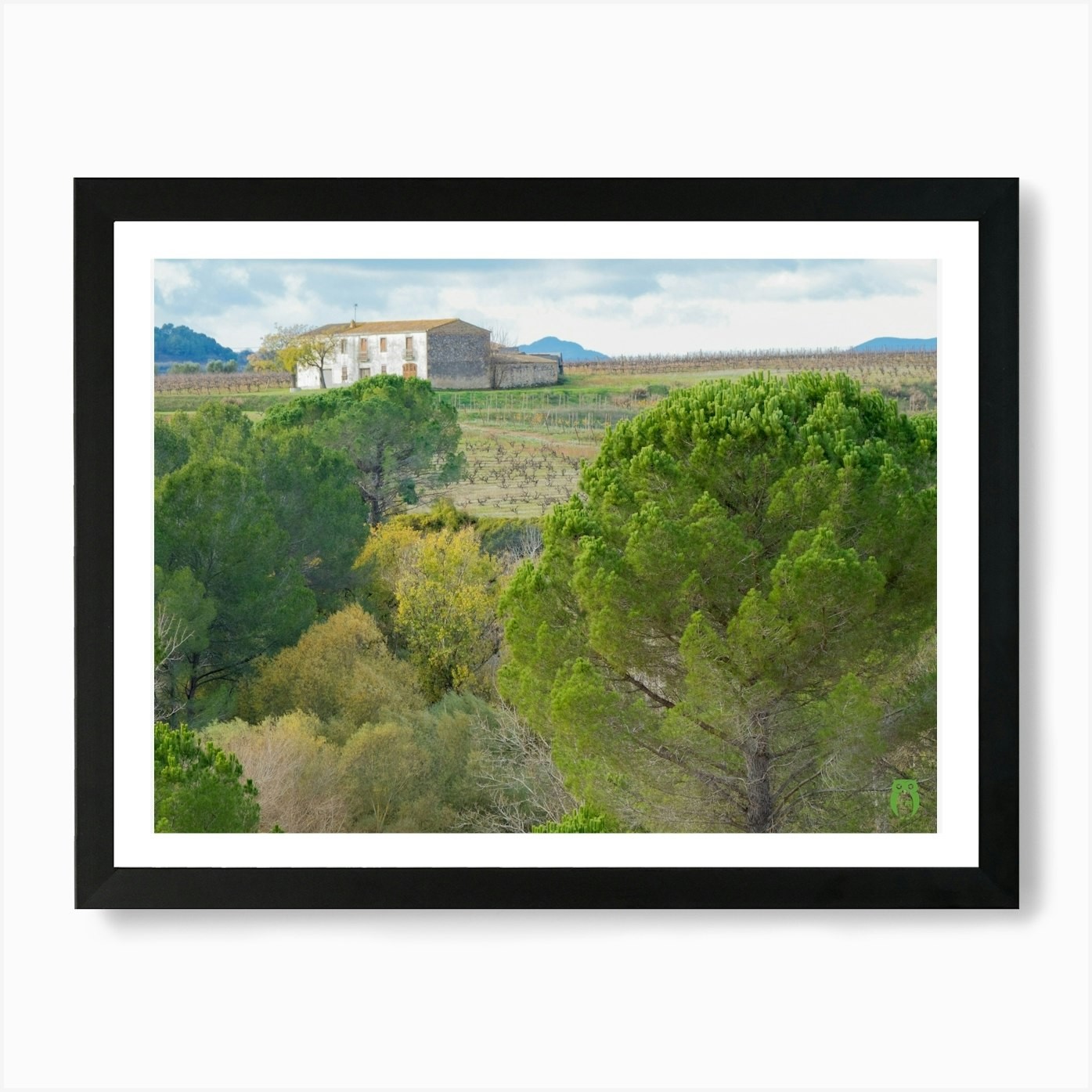 Vineyards And Trees 20211128 181ppu Framed Wall Art Poster Canvas Print Picture