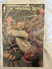 Walking Dead #160 (variant cover)