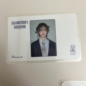 Qwer Photocard | eBay