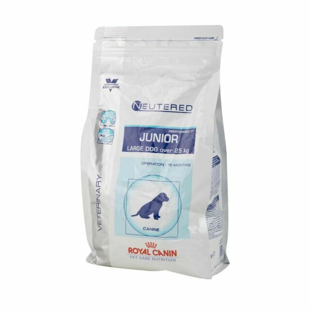 royal canin junior large
