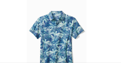 Fuego Palms Polo Shirt,Bright Cobalt,L 