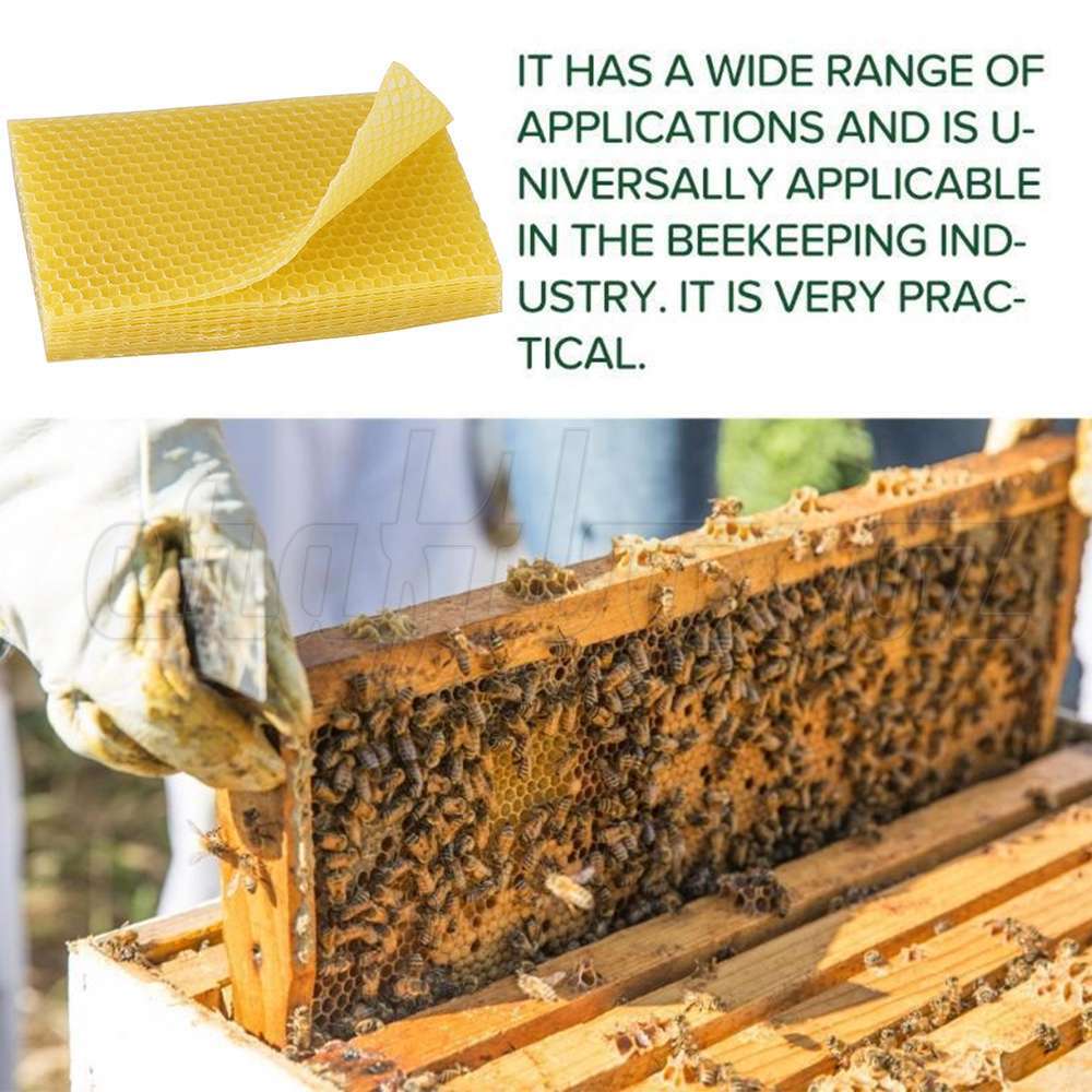 30pcs Waxing Beekeeping Equipment Sheet Foundation Bee Hive