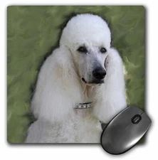 3dRose Standard Poodle MousePad
