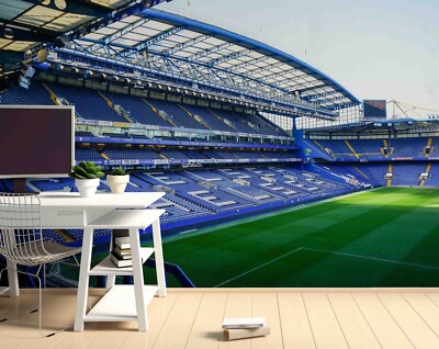 3D Stadium Sports Pattern Wallpaper Wall Murals Removable Wallpaper 57