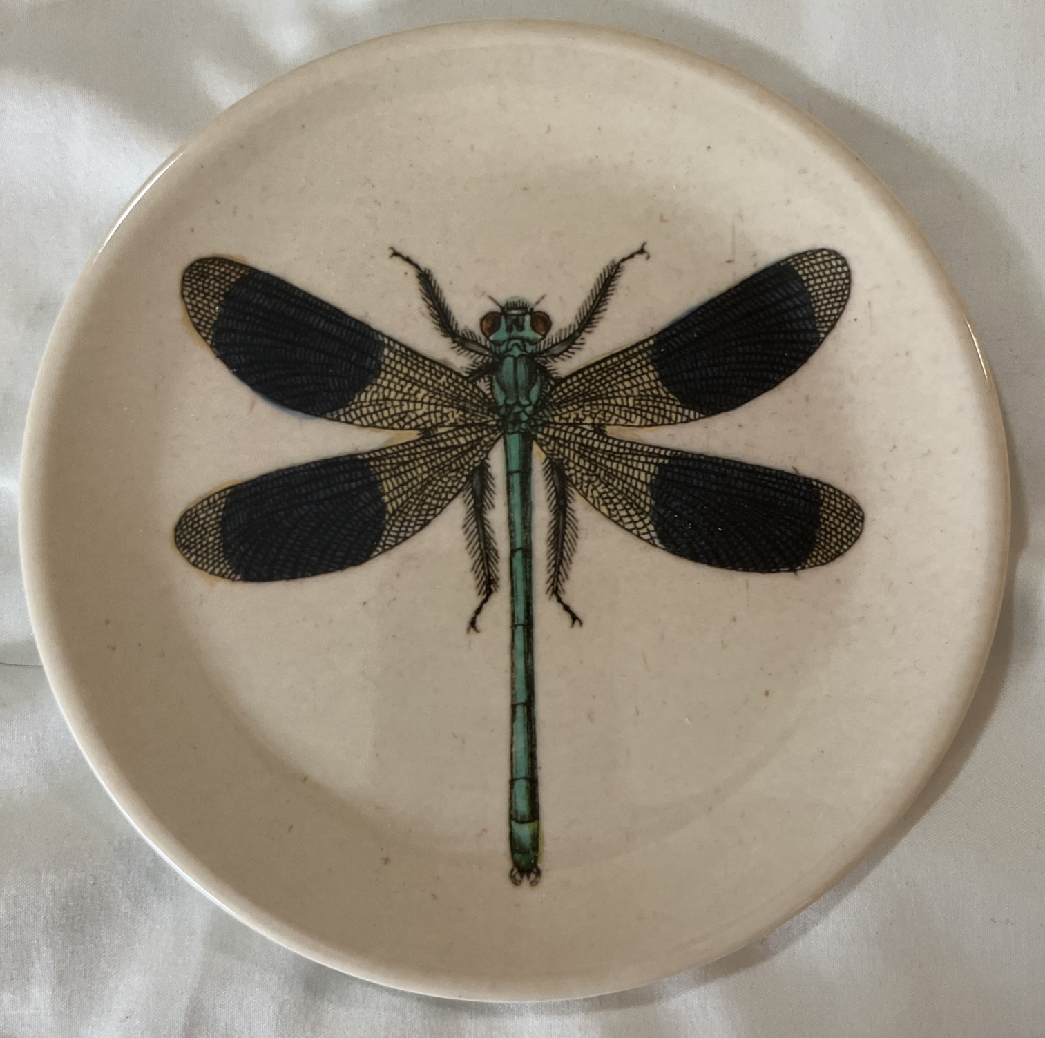 John Derian x Target -  6” Appetizer Plate With Dragonfly (9 available)