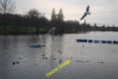 Photo 6x4 The Lake, Danson Park Bexley  c2014
