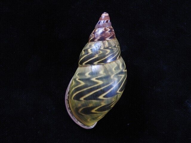 Bild 2 von 4