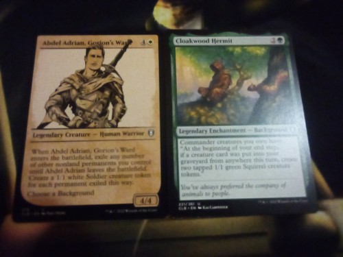 MTG 100 Card LULU Ellyn ALLENAL Jaheira CADIRA HALSIN G/W Token Budget EDH Deck - Picture 9 of 9