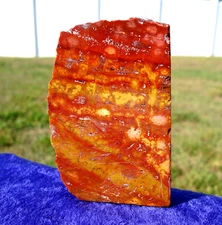 Wild Red & Yellow OCEAN JASPER Crystal Freeform Semi Polished For Sale