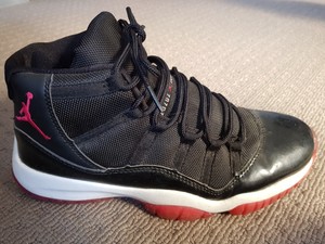 2008 bred 11