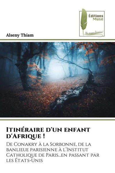 Alseny Thiam | ItinéRaire D'un Enfant D'afrique ! | Taschenbuch | FranzöSisch-image