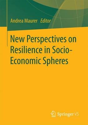Neue Perspektiven auf Resilienz in sozioökonomischen Bereichen - 9783658133276