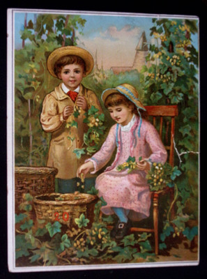 VICTORIAN Children Trade Card Grapes Harvest Scene Antique Advertising Ephemera