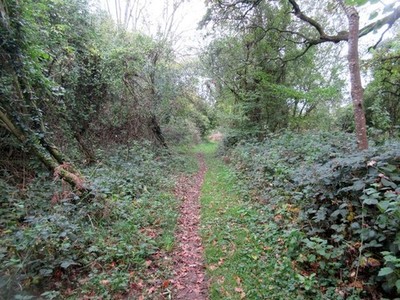 Foto A3 Route von Monarch's Way durch Selhurst Park Eartham Public foo c2017