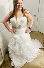 Stunning David’s Bridal Wedding Dress
