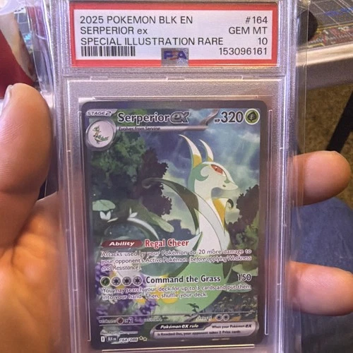 PSA 10 2025 Serperior ex 164/086 Special Illustration Rare Black Bolt