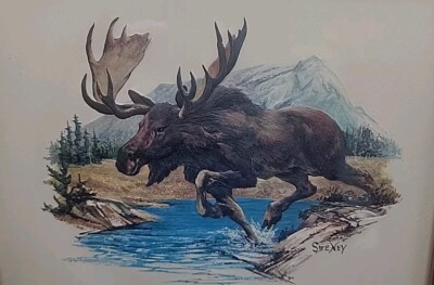 *Vintage* 1970's FREDERICK SWENEY Wildlife 3-D EMBOSSED Print Moose and Mountain